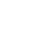 The Lady Bird Diaries